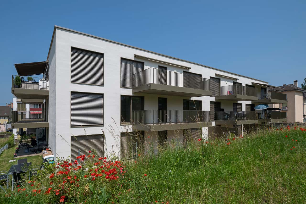 Payerne – Le Saule